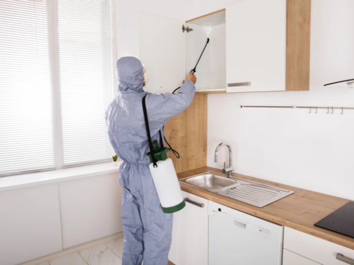 Do Exterminators Spray Inside Cabinets
