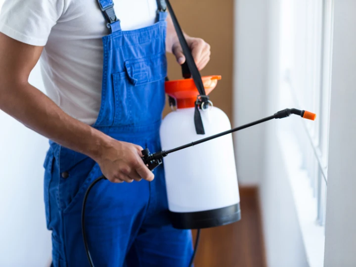 How Much Is Pest Control for a House