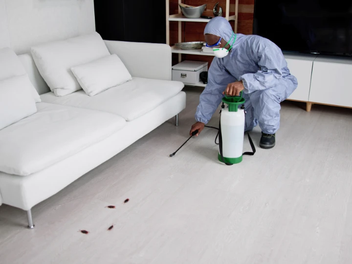 Why Do Exterminators Cost So Much