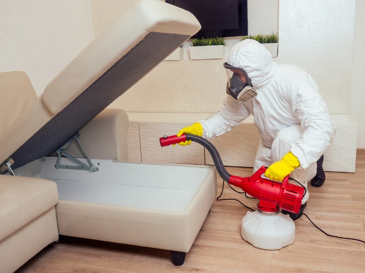 Is Pest Control Worth It for Bed Bugs