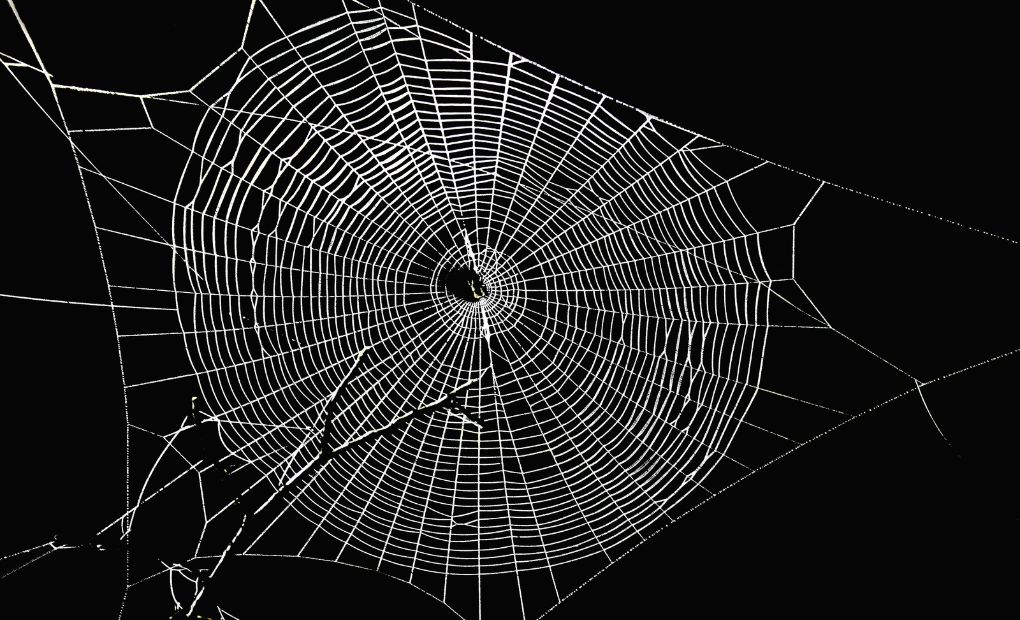 How To Get Rid Of Spiders