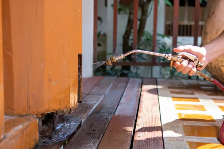 Concord Pest Control Exterminator spraying eco-friendly chemical on termite infested wood