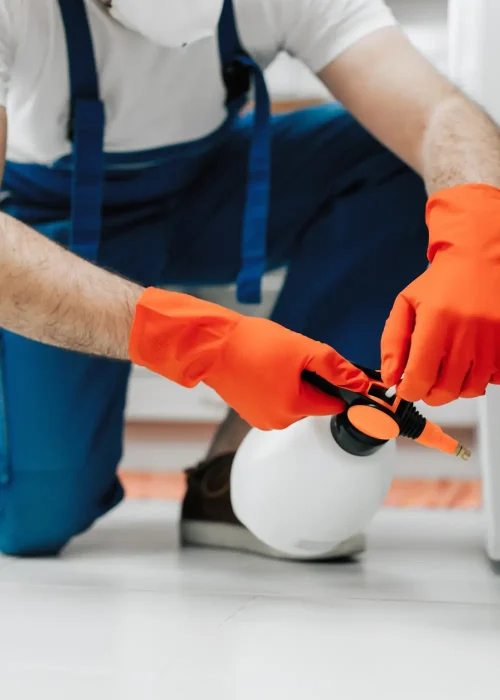 Ant Exterminators for Your Business in Concord, NH