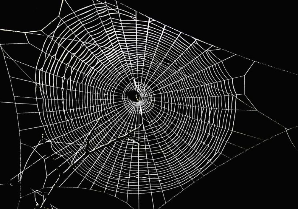 How To Get Rid Of Spiders